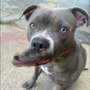 Meet your Posher, Aj